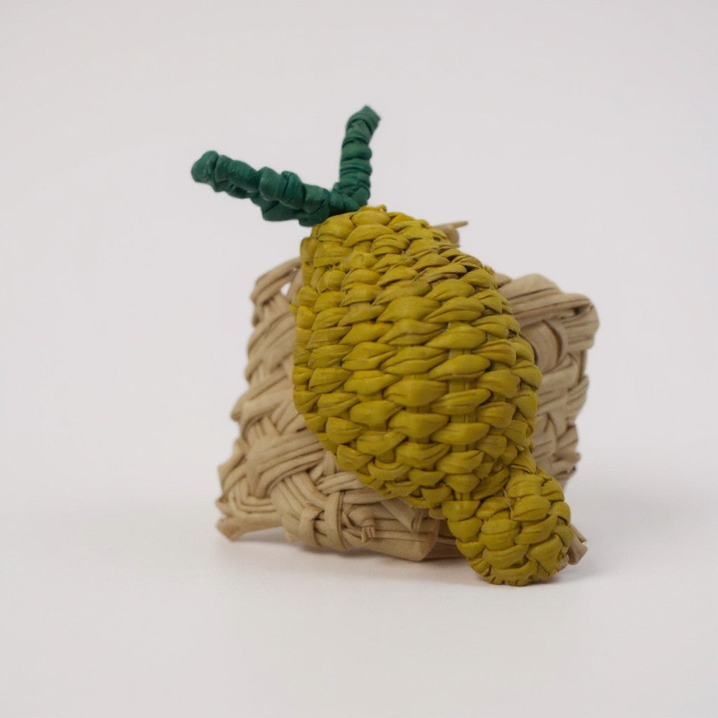 Assorted Fruit Napkin Holders (Set of 6)