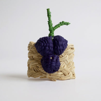 Assorted Fruit Napkin Holders (Set of 6)