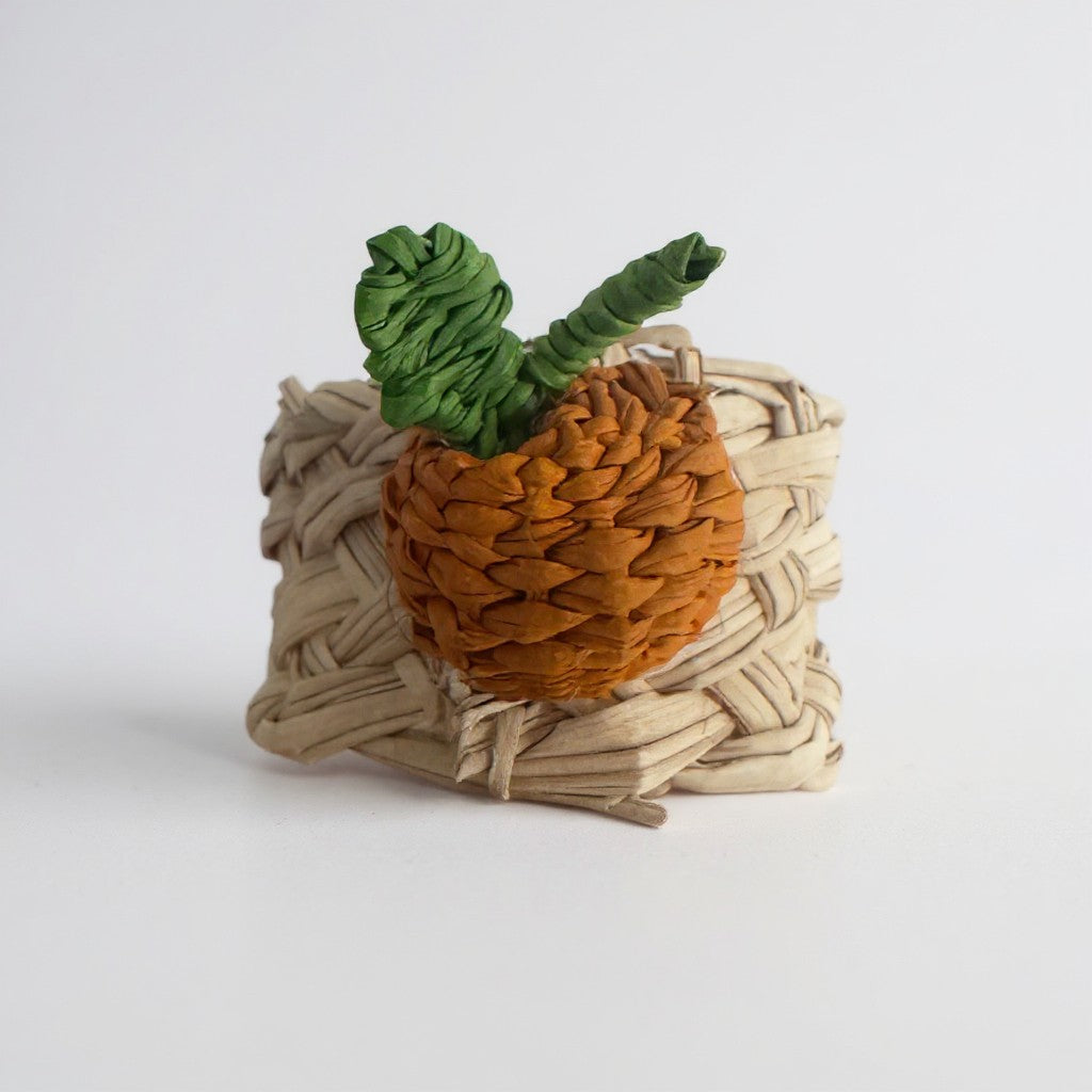 Assorted Fruit Napkin Holders (Set of 6)